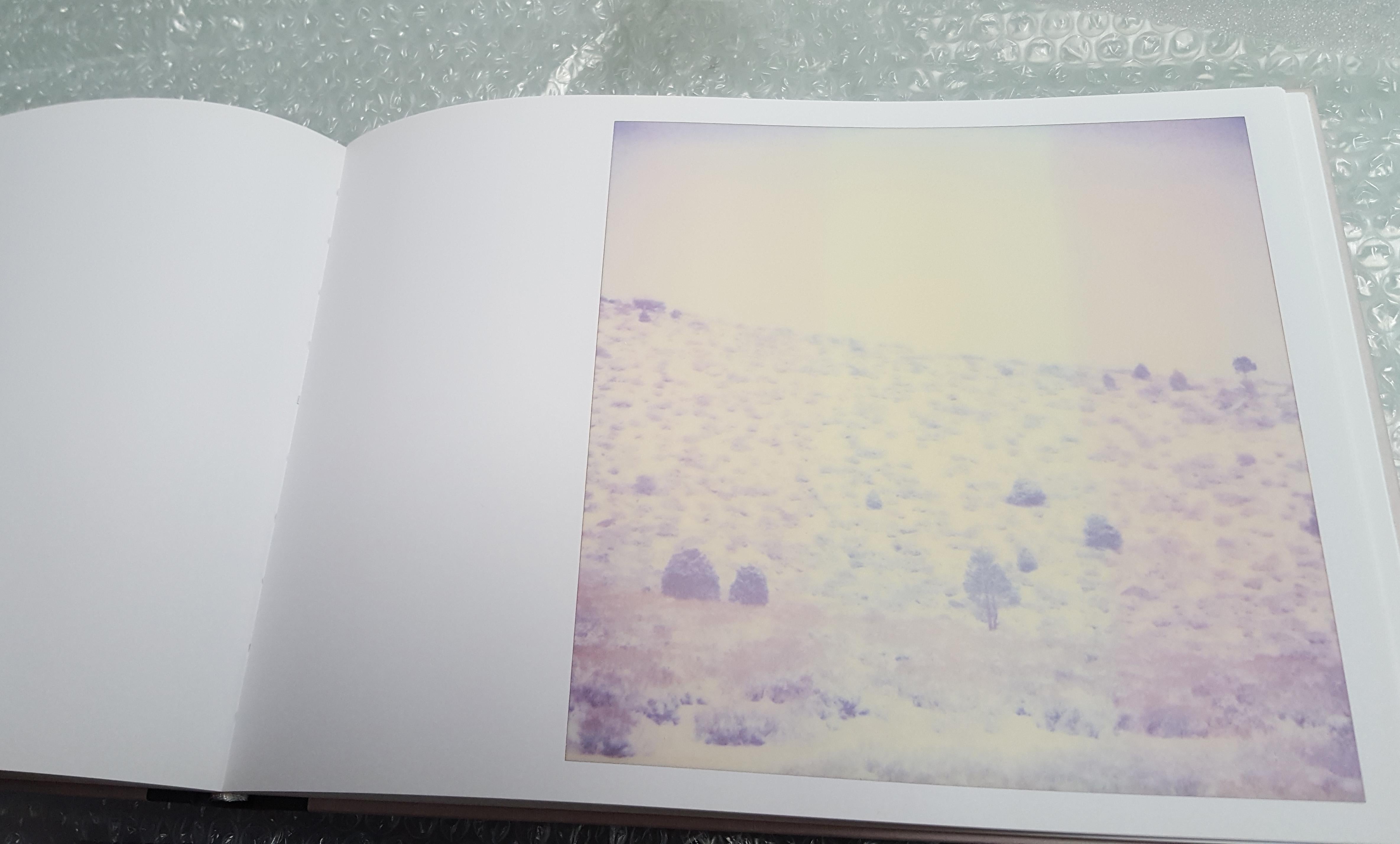 Purple Valley (Wastelands) - Contemporary, Landschaft, Polaroid, Analog, montiert – Photograph von Stefanie Schneider