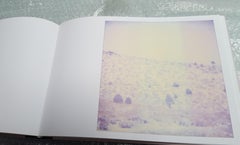 Purple Valley (Wastelands) - Contemporary, Landscape, Polaroid, Analog, mounted