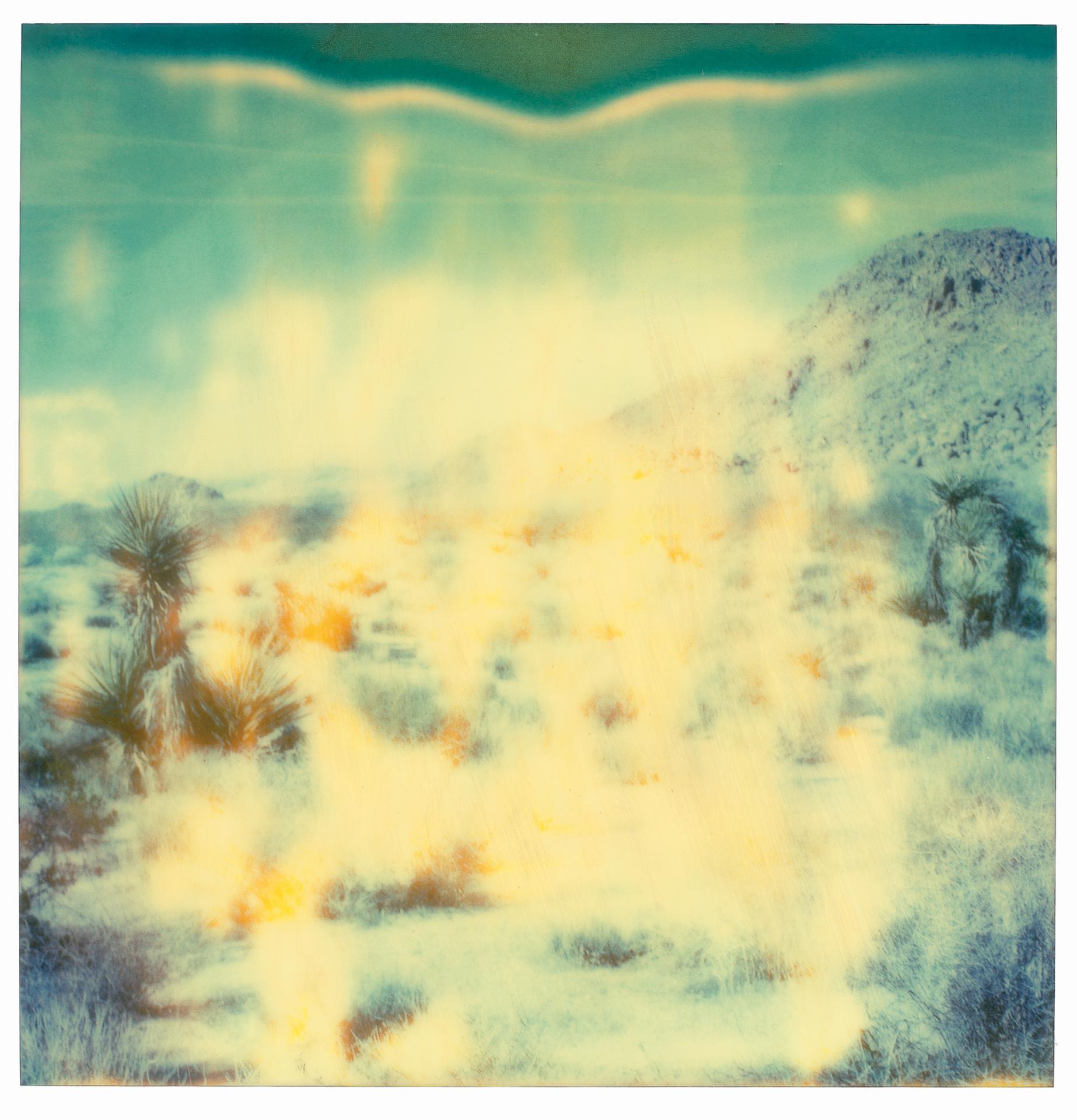 Radha Mind Screen (Stranger than Paradise), trittico, 78x76cm ciascuno - Photograph di Stefanie Schneider