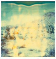 Radha Mind Screen (Stranger than Paradise), triptych, analog, 58x56cm each