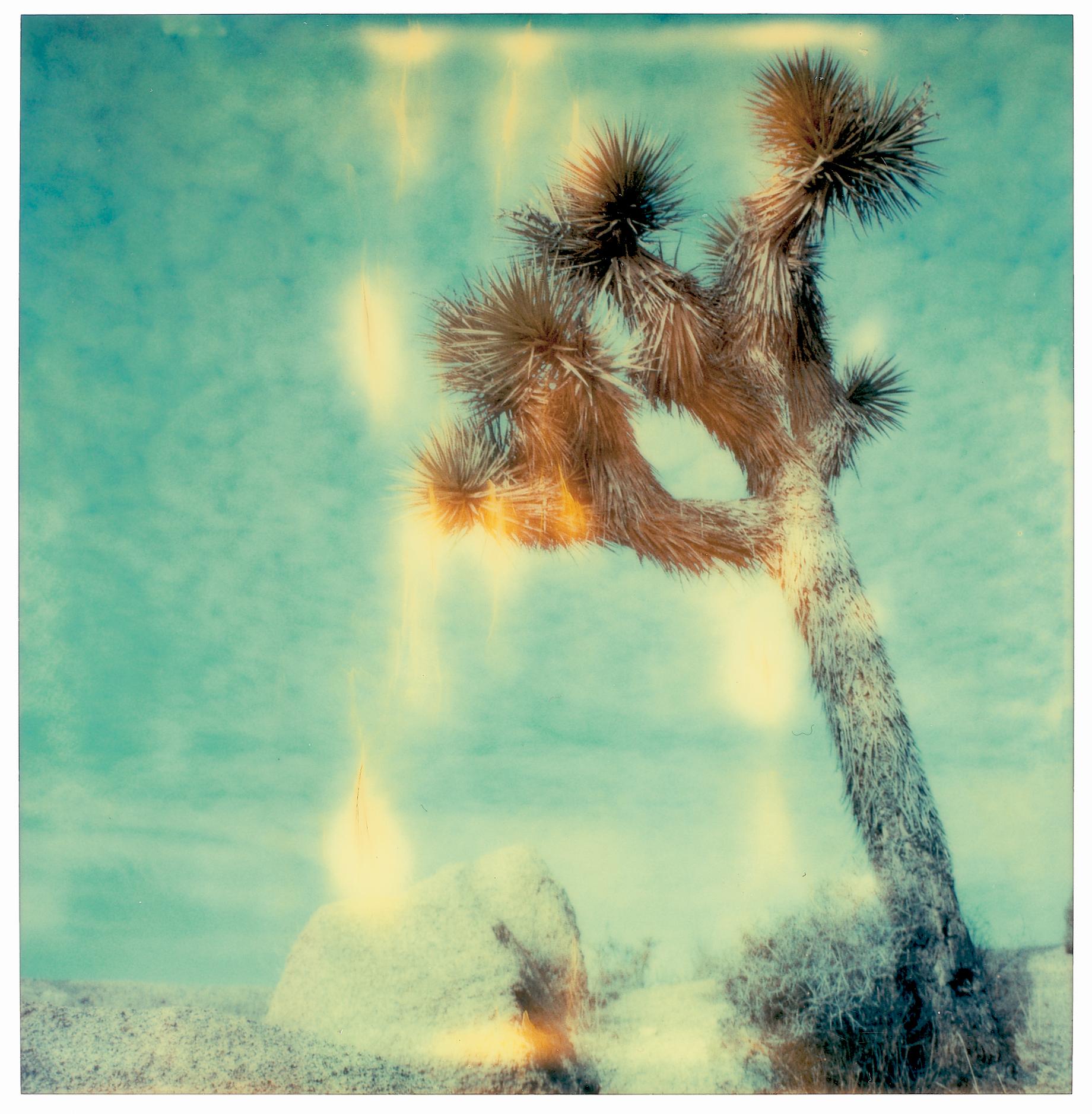 Paravent Radha Mind (Stranger than Paradise), triptyque, analogique, 58 x56 cm chacun - Beige Landscape Photograph par Stefanie Schneider