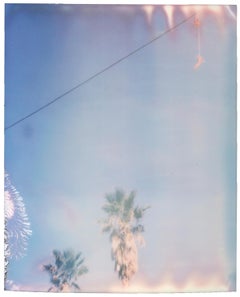 Rote Schuhe baumelnd (29 Palms, CA) - 21. Jahrhundert, Polaroid, Contemporary