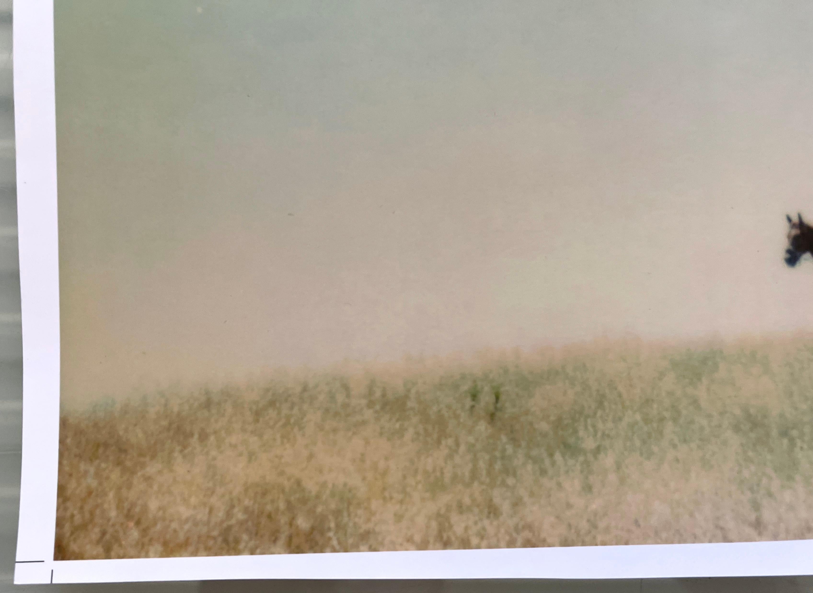 Il sogno di Renée (Days of Heaven), n. 10 in vendita 1