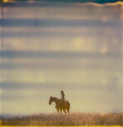 Renée's Dream XI (Days of Heaven) - Paysage, Cheval, Polaroid, 21ème siècle