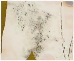 Revisions (Deconstructivism) - Contemporary, Expired Polaroid