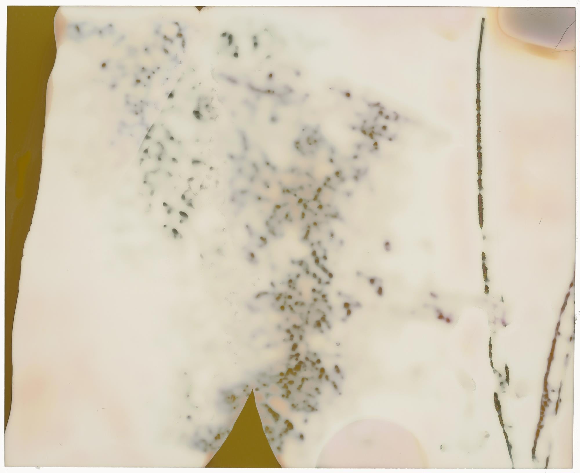 Stefanie Schneider Abstract Photograph - Revisions (Deconstructivism) - Contemporary, Expired Polaroid