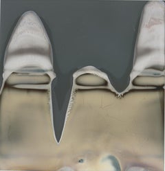 Ripped (Dekonstruivismus) – Zeitgenössisches, abgelaufenes Polaroid