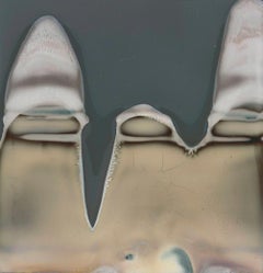 Ripped (Deconstructivism) - Polaroid