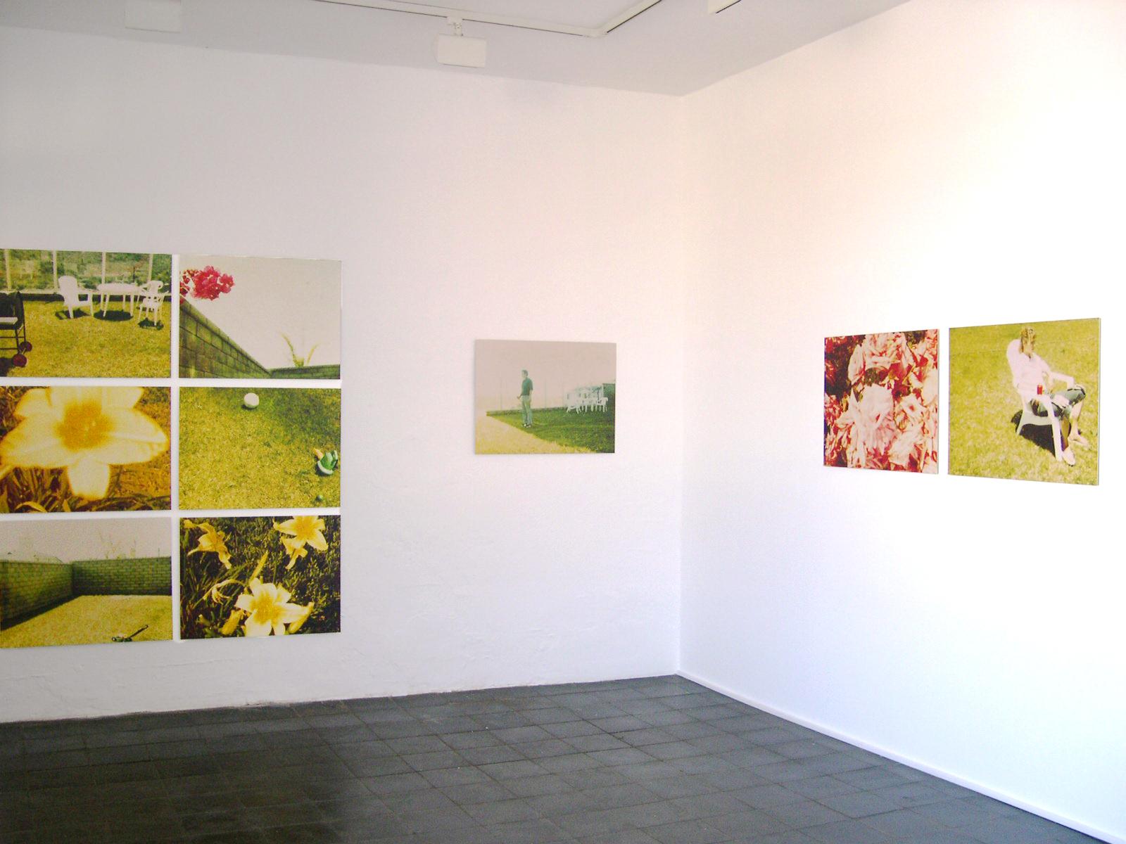 Rosegarden #01 (Suburbia), diptych - 2004 

Edition 3/5,
60x80cm each, 60x170cm installed. 
2 Analog C-Prints, hand-printed by the artist on Fuji Crystal Archive Paper, matte surface, based on the 2 original Polaroids. Mounted on Aluminum with matte