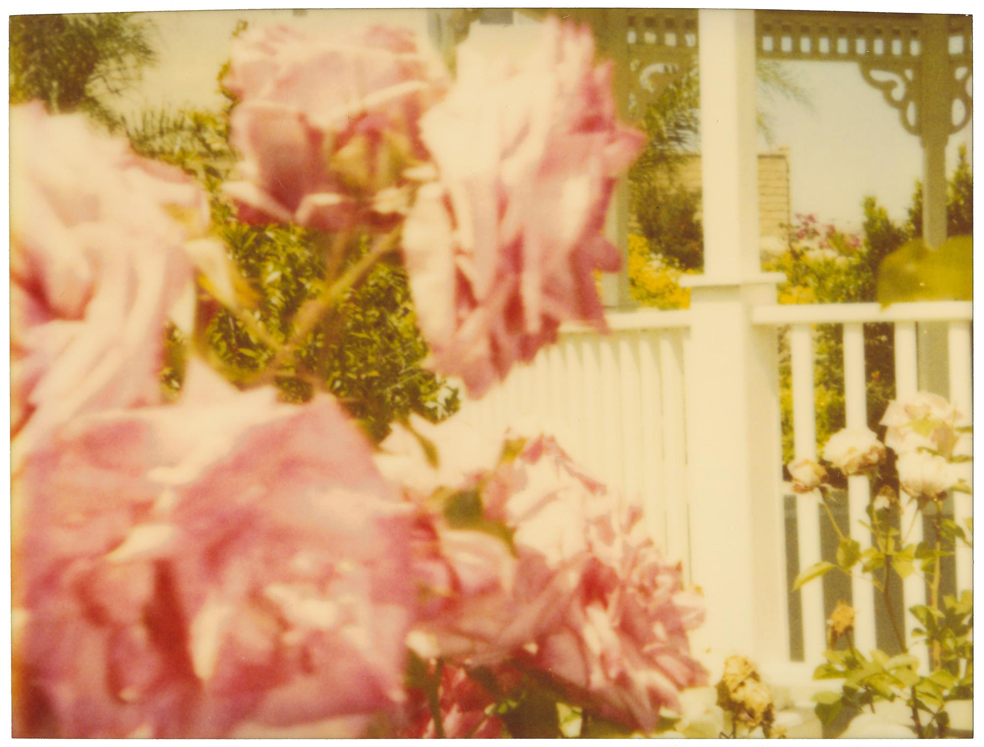 Rosegarden #01 (Suburbia), diptych - 21st Century, Contemporary, Color, Polaroid - Beige Landscape Photograph by Stefanie Schneider