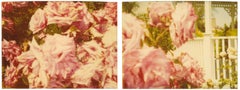 Rosegarden #01 ( Suburbia), Diptychon - 21. Jahrhundert, Zeitgenössisch, Farbe, Polaroid