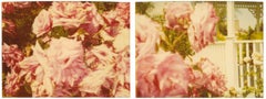 Rosegarden #01 (Suburbia), diptyque - 21e siècle, Contemporain, Couleur, Polaroïd