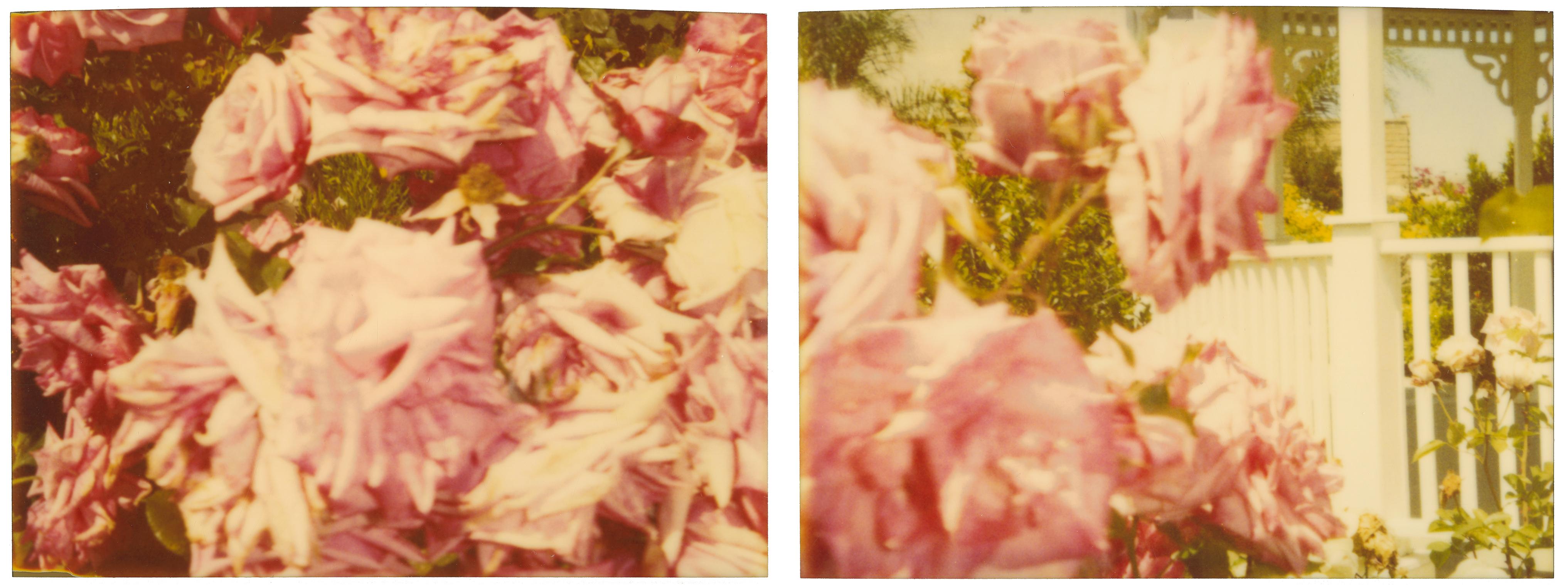 Stefanie Schneider Landscape Photograph - Rosegarden #01 (Suburbia), diptych - 21st Century, Contemporary, Color, Polaroid