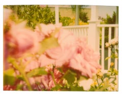 Rosegarden #4 (Suburbia) - 21st Century, Polaroid, Contemporary