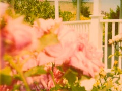 Rosegarden #4 ( Suburbia) – Polaroid