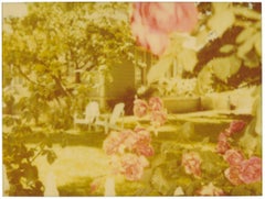 Rosegarden (Suburbia), analogico, montato