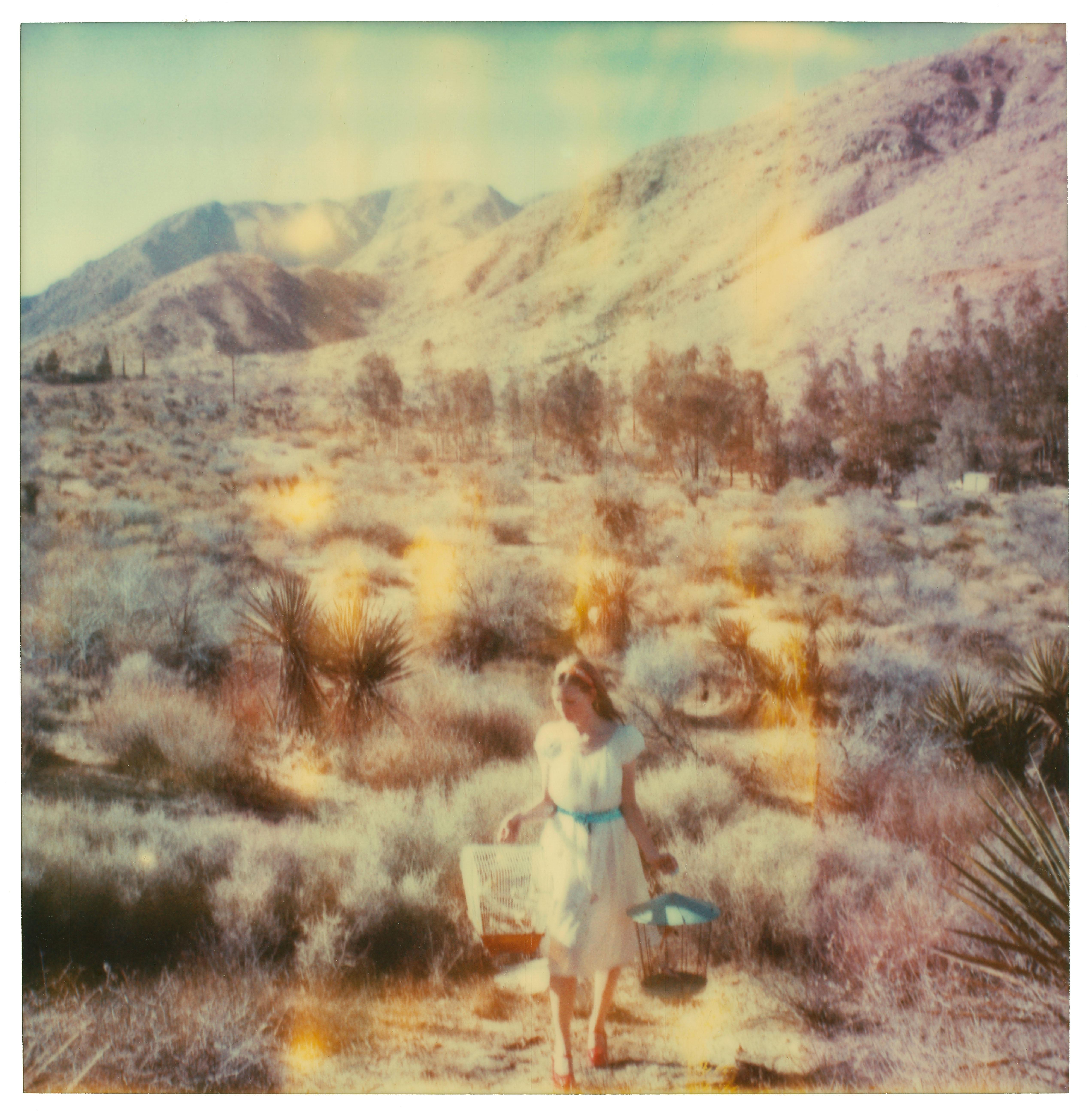 Stefanie Schneider Color Photograph - Runaway (Haley and the Birds) 