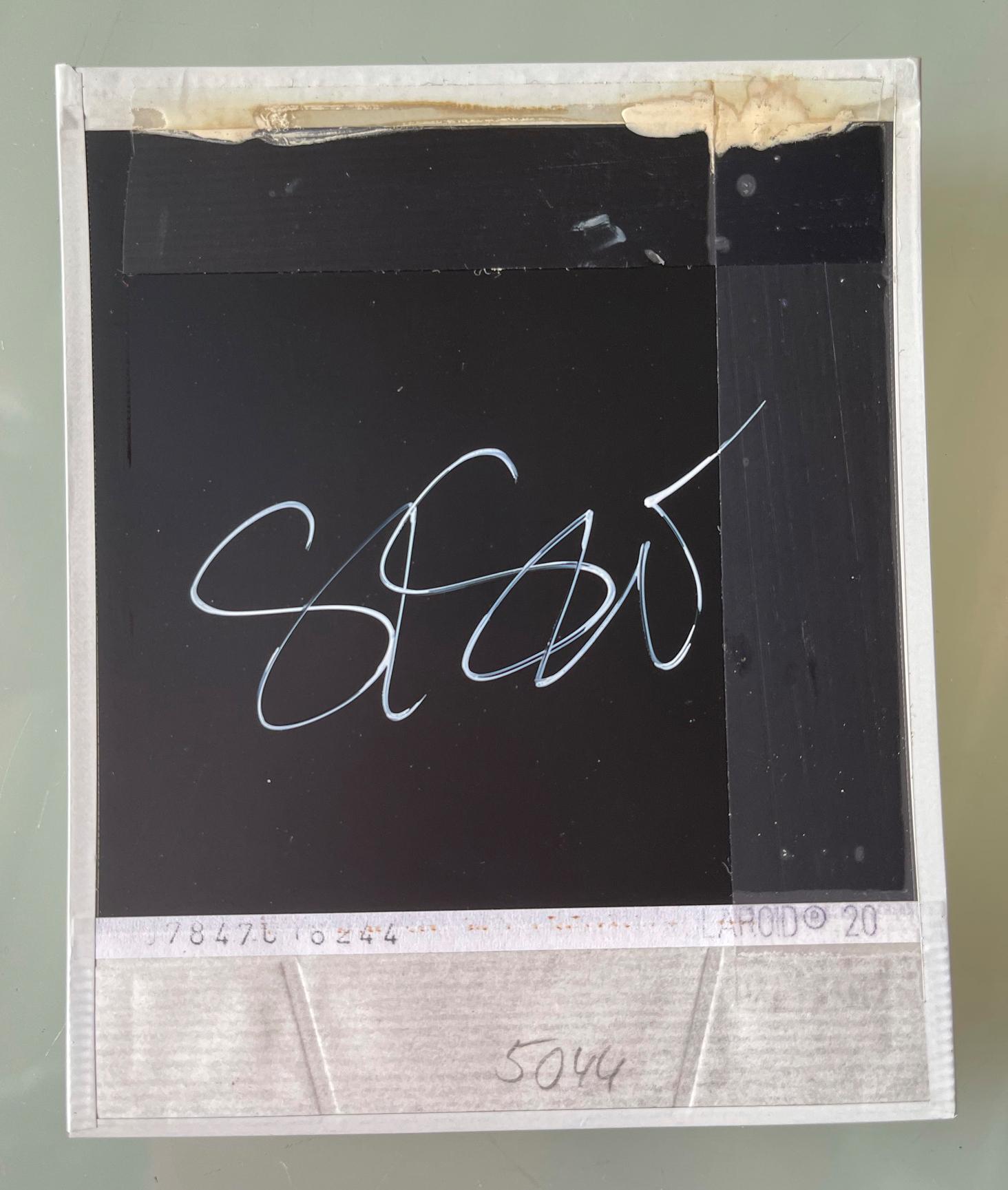 Sam (Stay) with Ewan McGregor - Original Polaroid Unique Piece - Photograph by Stefanie Schneider