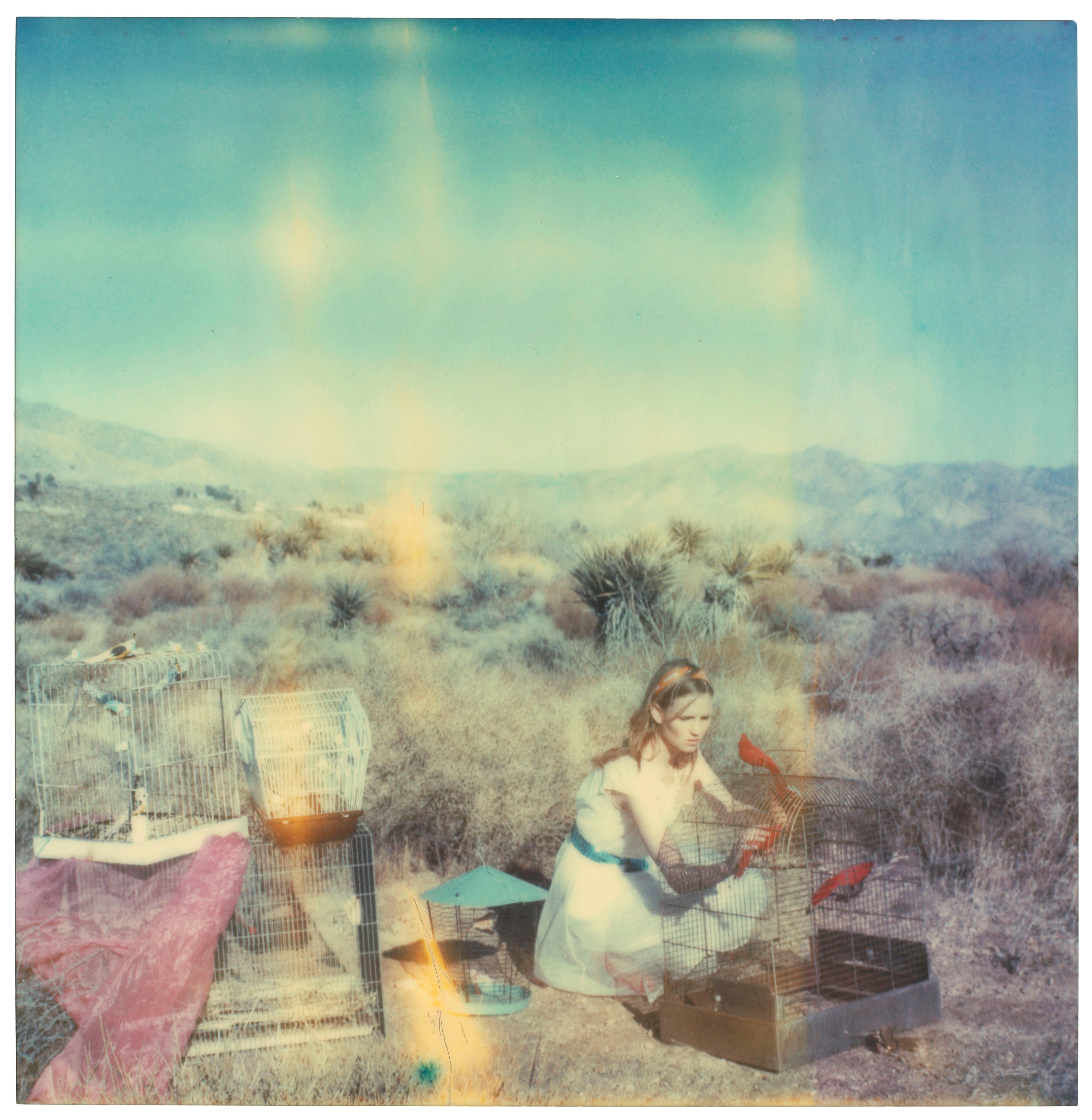 Stefanie Schneider Color Photograph – Sanctuary (Haley und die Vögel) 