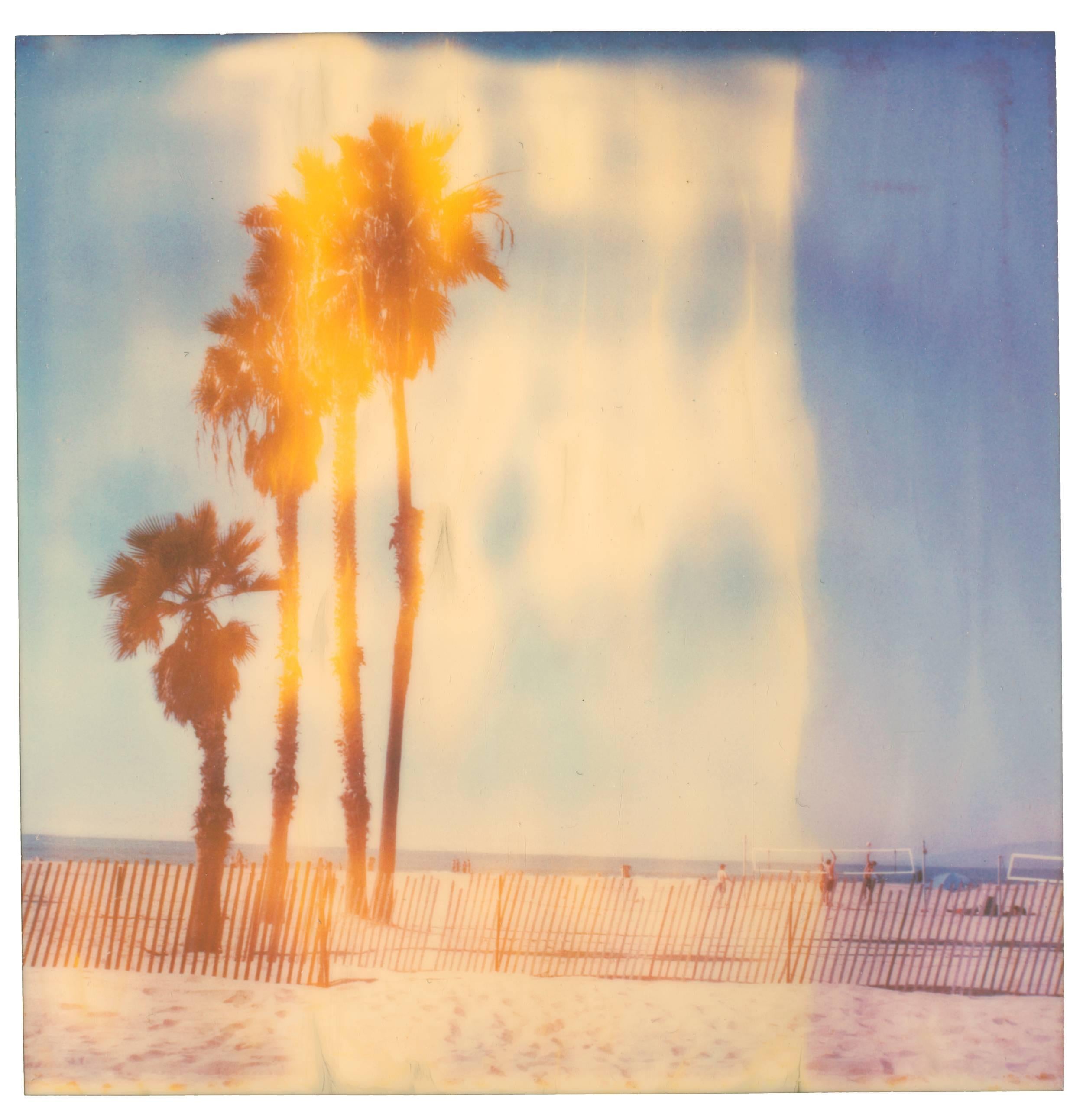 Stefanie Schneider Color Photograph – Palmenbäume in Santa Monica (Fresser als Paradies)