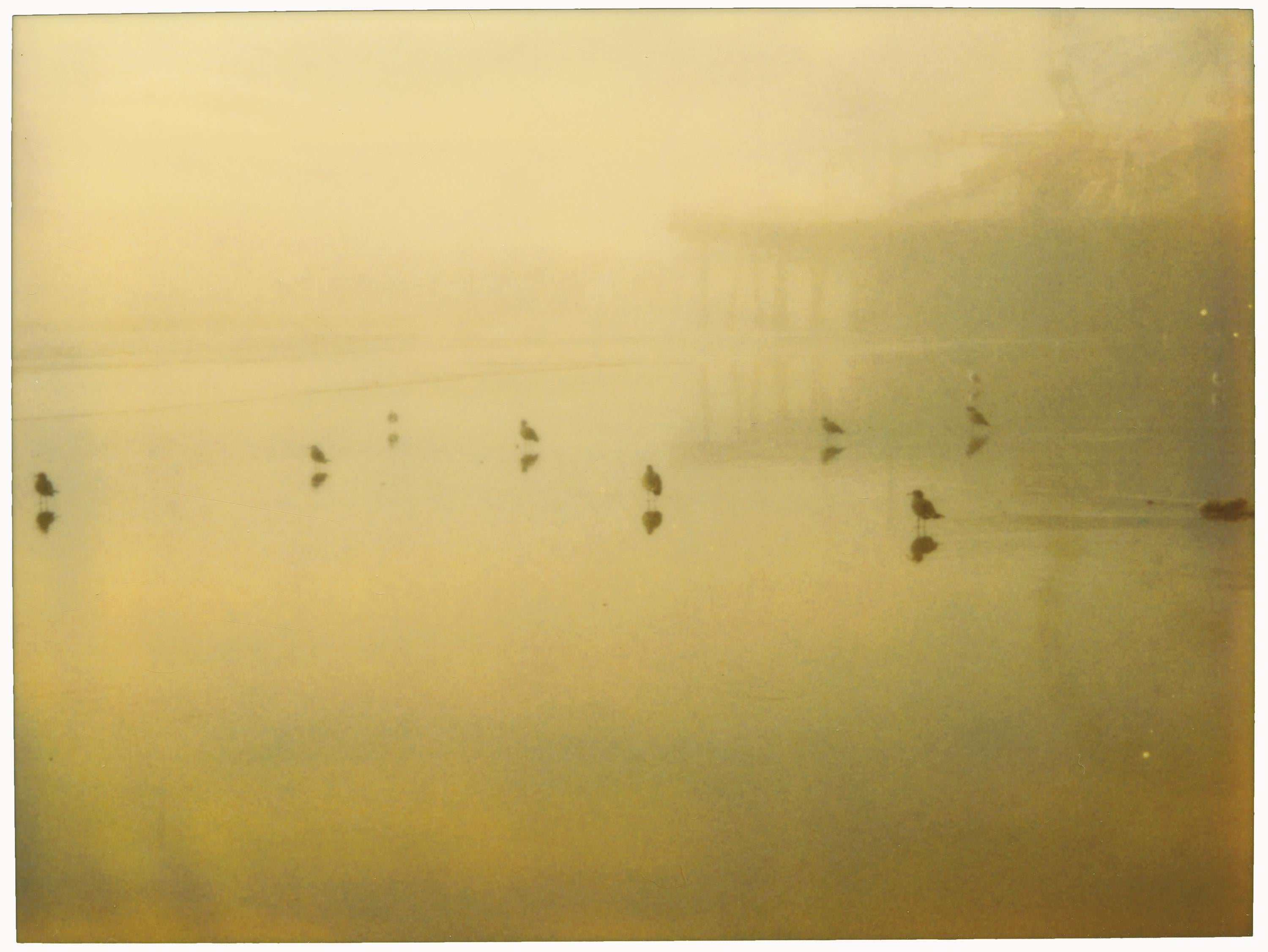 Stefanie Schneider Landscape Photograph - Santa Monica Pier (Stranger than Paradise) - Analog, hand-print, Polaroid