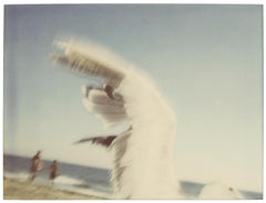 Vintage Seagull (Zuma Beach)