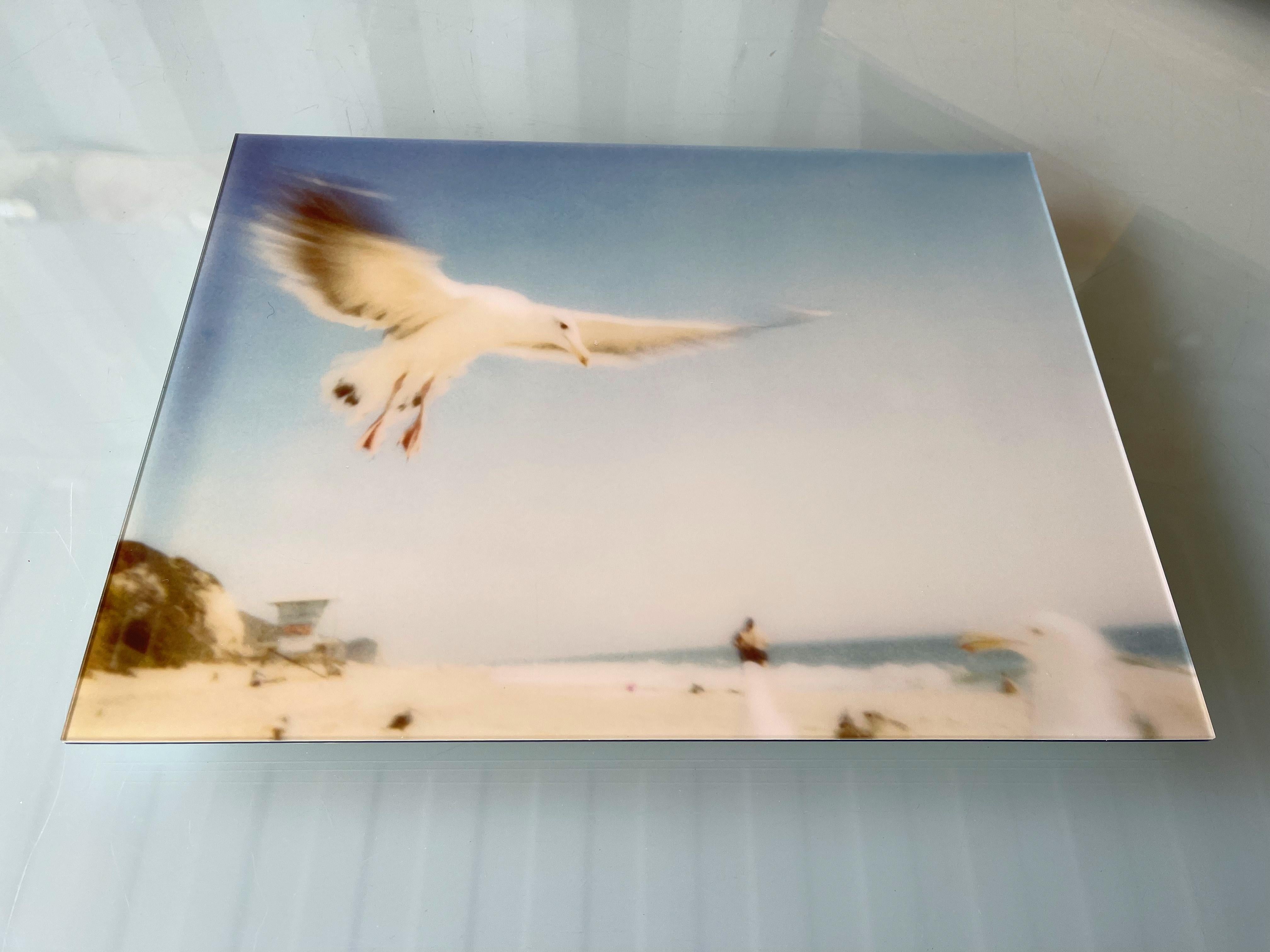 Seagulls (Zuma Beach) – montiert, 30x40cm (Zeitgenössisch), Photograph, von Stefanie Schneider