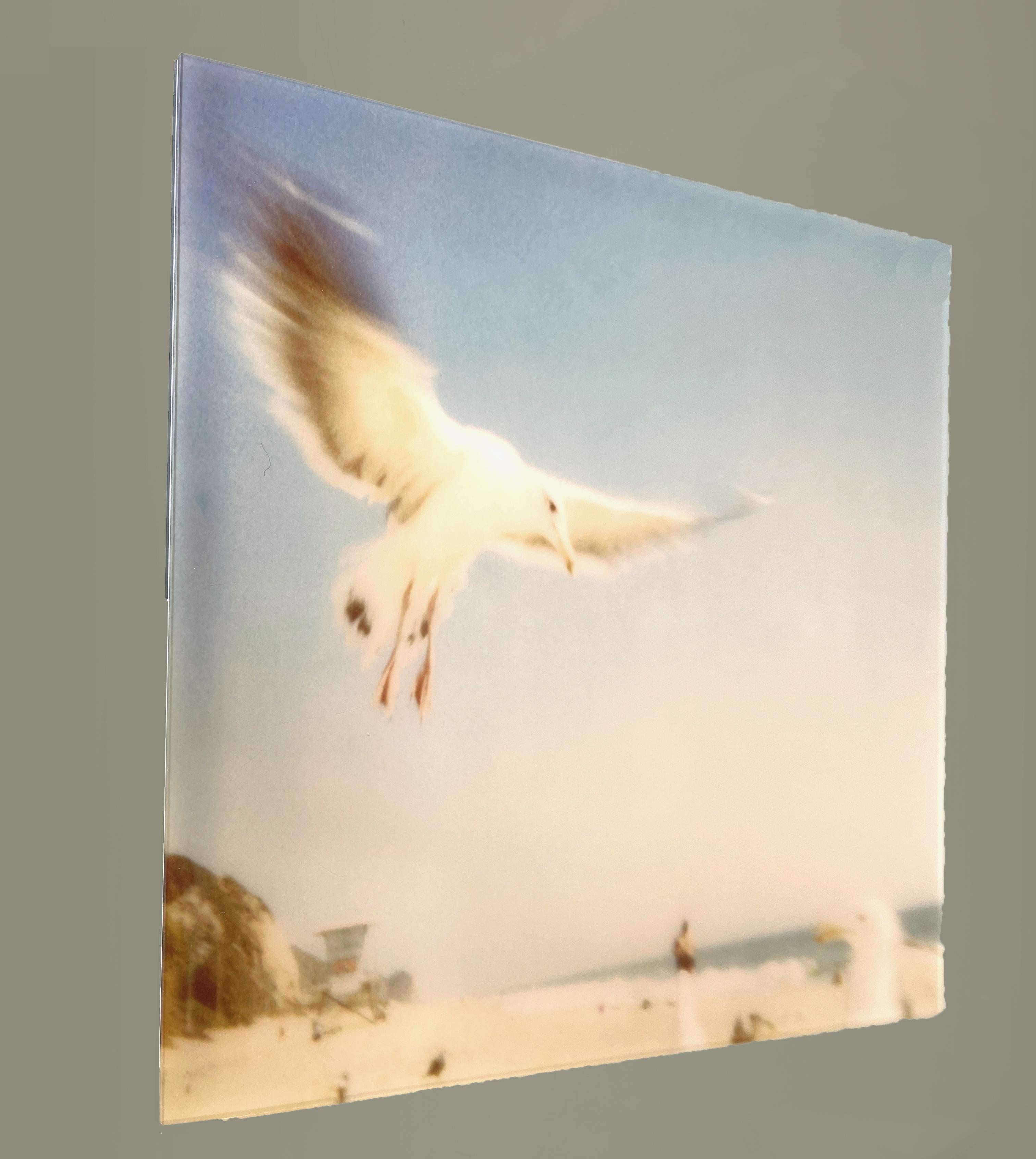 Seagulls (Zuma Beach) – montiert, 30x40cm im Angebot 2