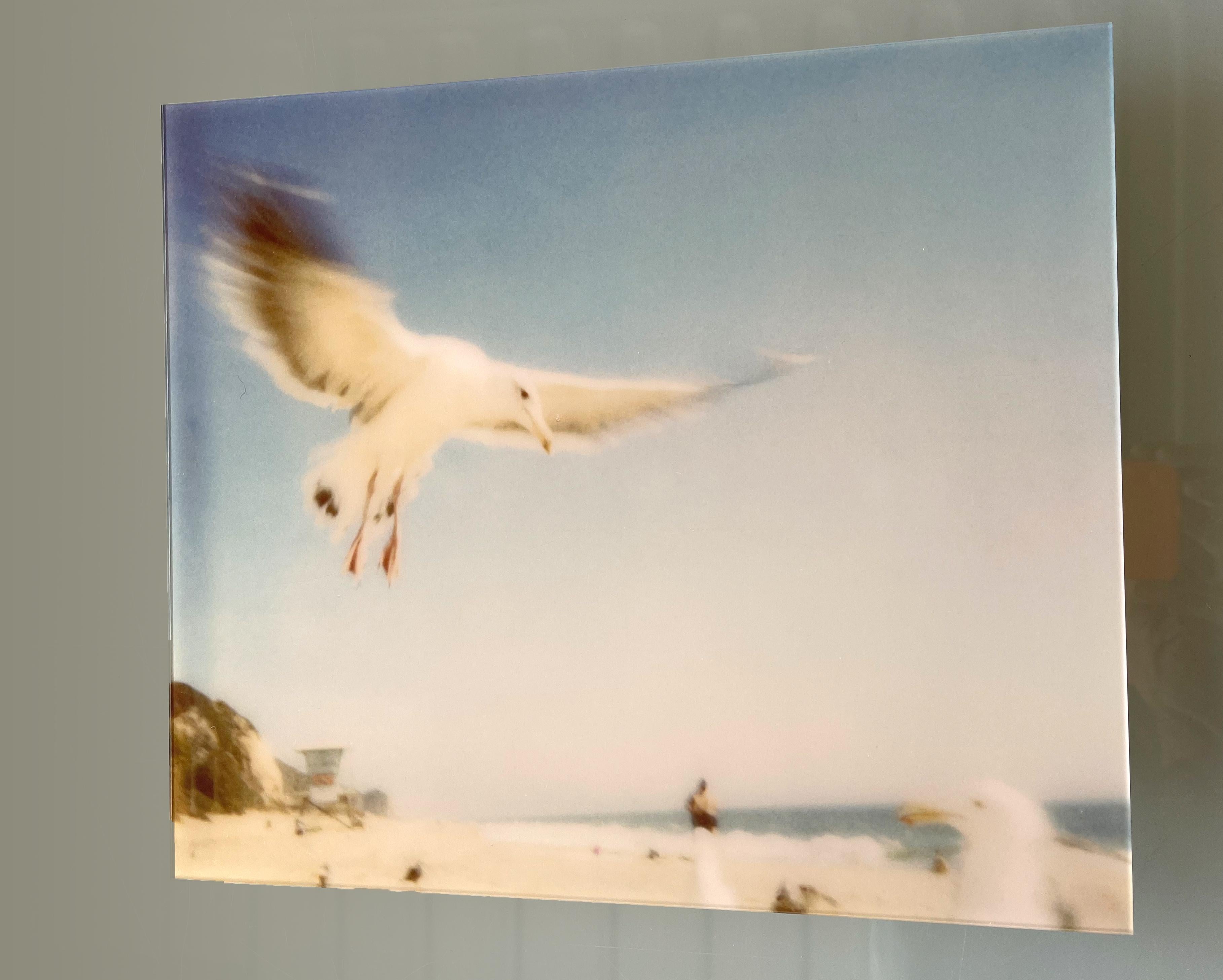 Seagulls (Zuma Beach) – montiert, 30x40cm im Angebot 3