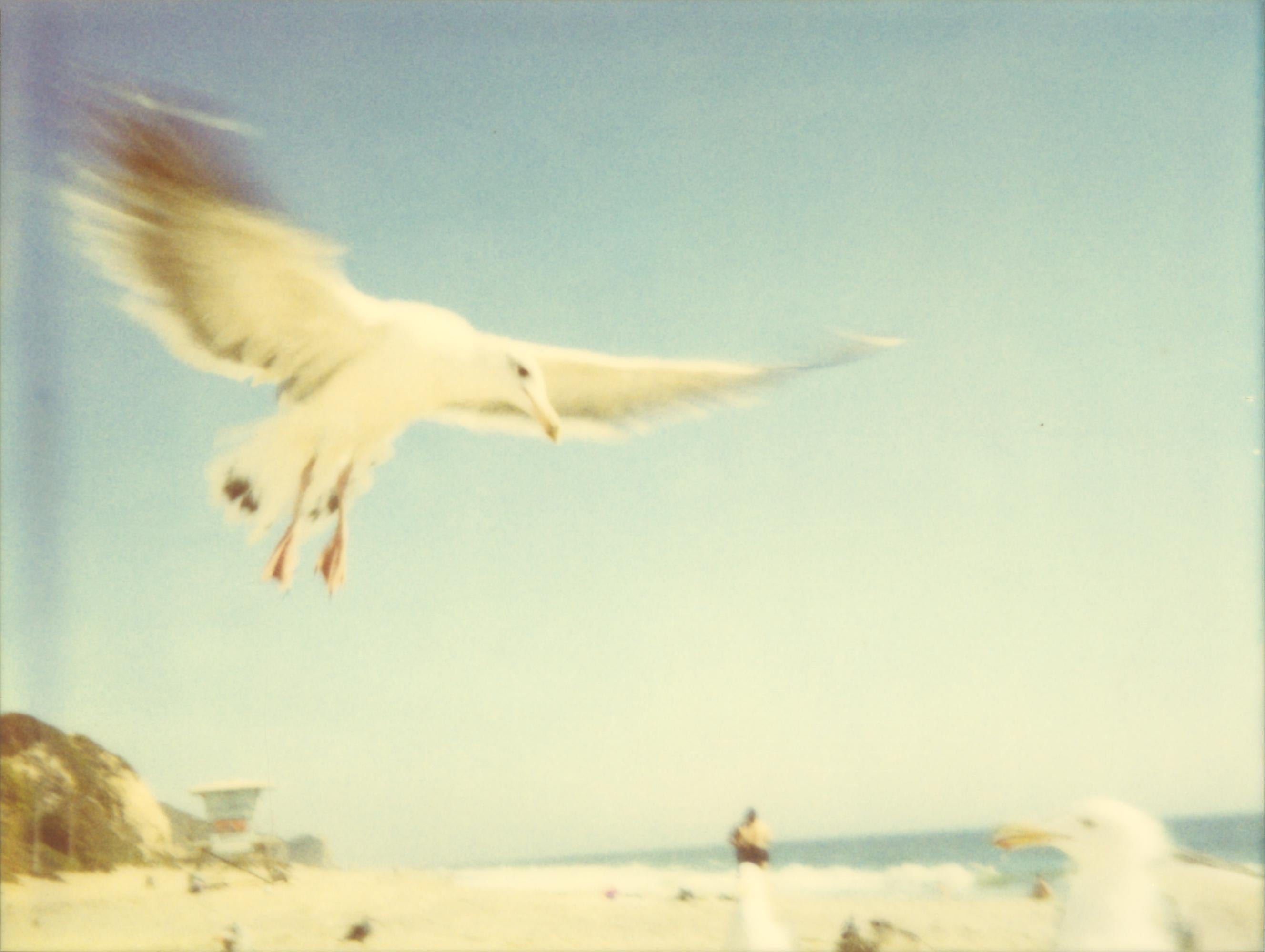 Stefanie Schneider Landscape Photograph – Seagulls (Zuma Beach) – montiert, 30x40cm
