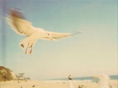 Seagulls (Zuma Beach) – Polaroid
