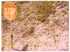 Vintage Secret Garden (Zuma Beach)