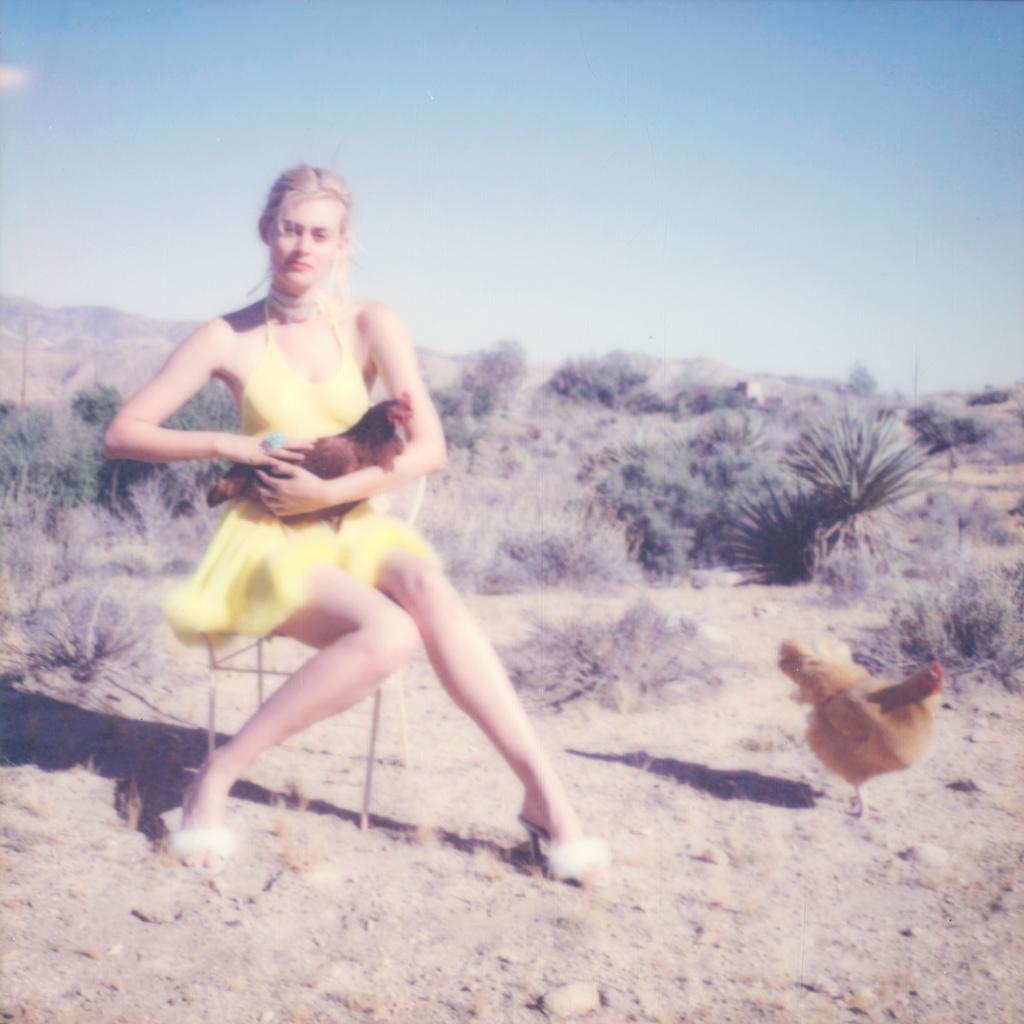 Stefanie Schneider Color Photograph - Sentience (Chicks and Chicks and sometimes Cocks)