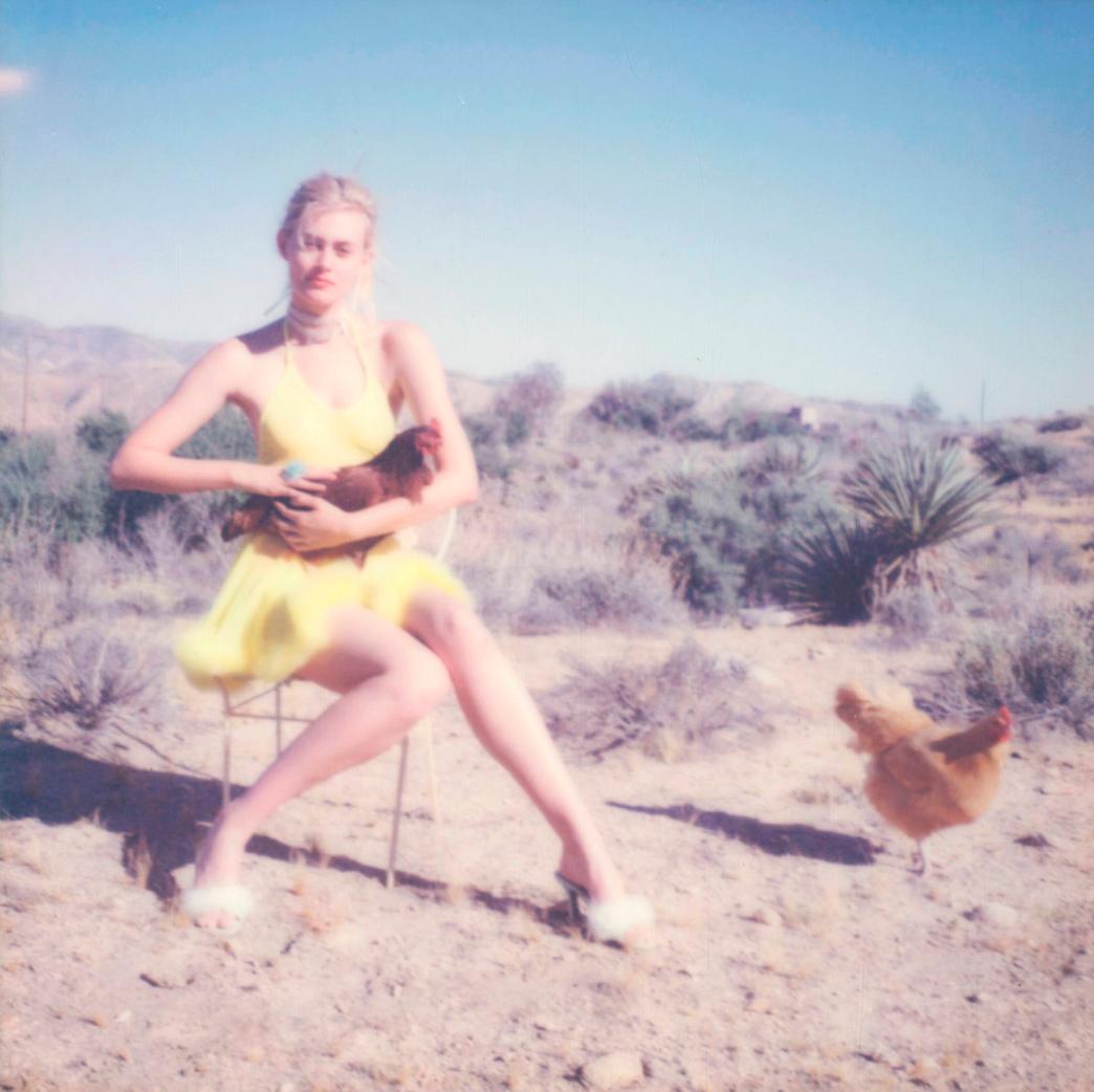 Stefanie Schneider Landscape Photograph - Sentience (Chicks and Chicks and sometimes Cocks) - Polaroid