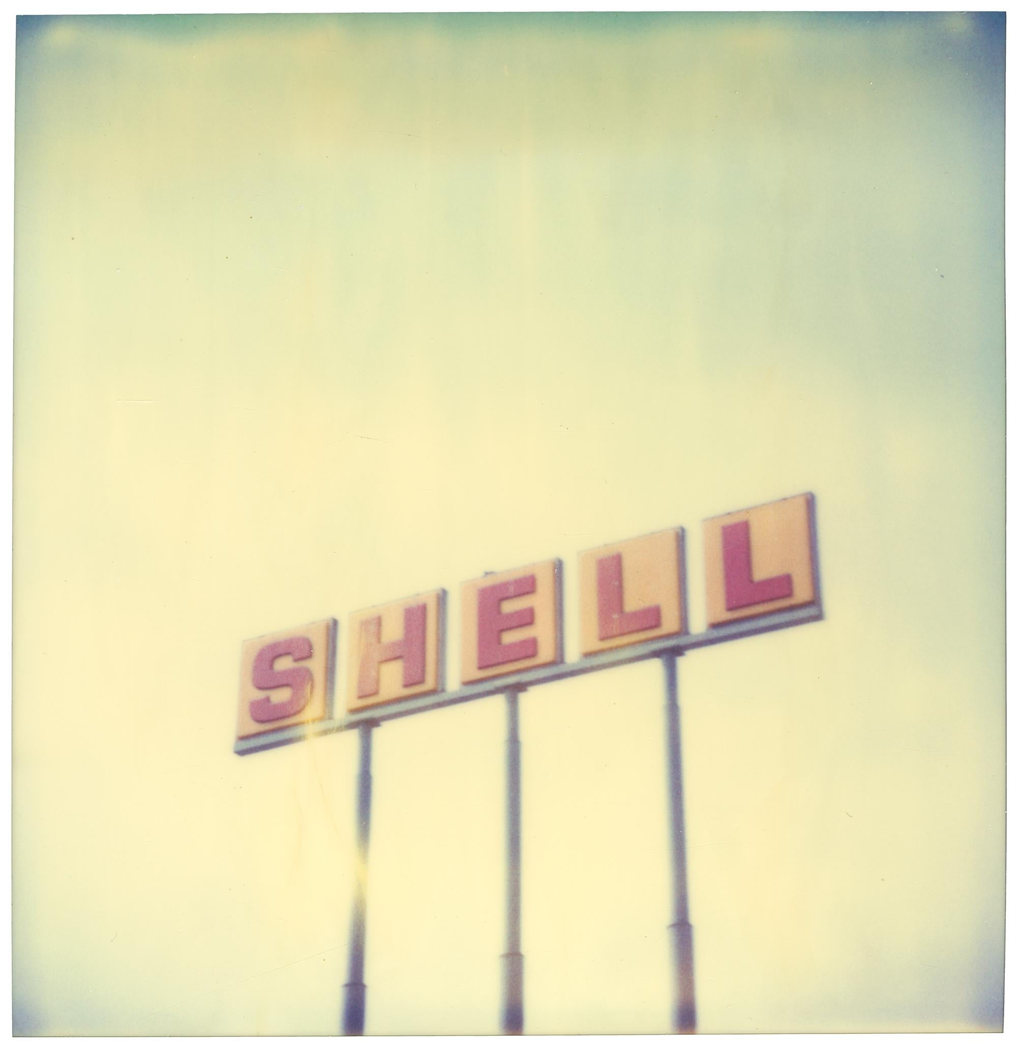 Shell (Stranger than Paradise)