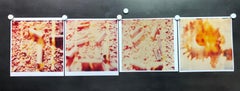 Shells and Impact (Wastelands) Contemporary, Abstract, Polaroid, 21st Century