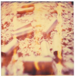 Shells (Wastelands)
