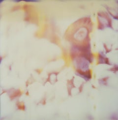 Silver Bullet (Wastelands) - Contemporary, Analog, Polaroid, Color