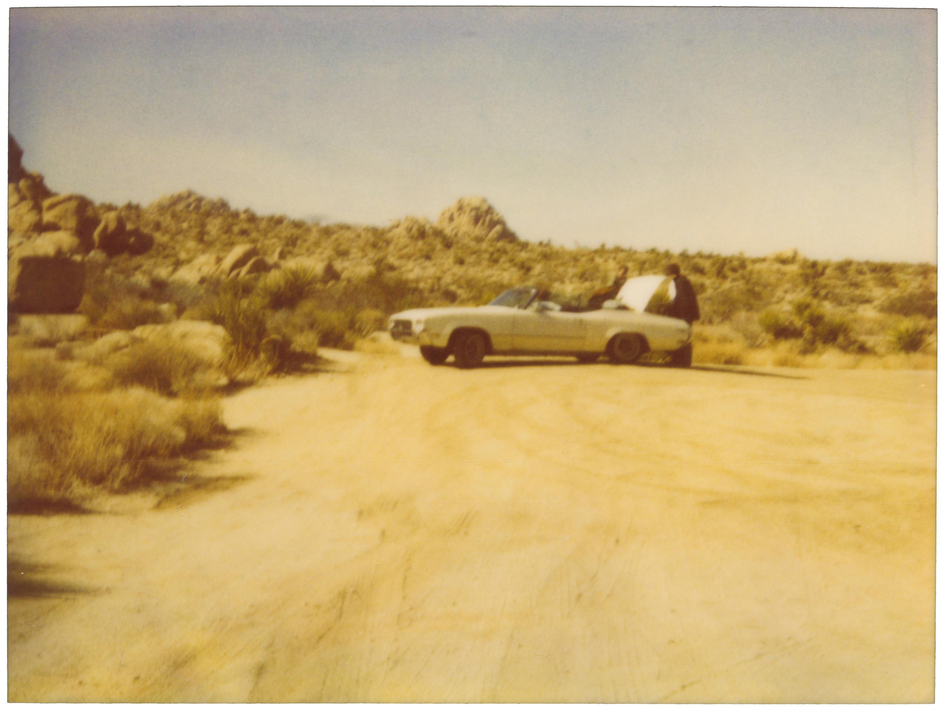 Stefanie Schneider Color Photograph - Skylark open trunk (Stranger than Paradise), analog, vintage 