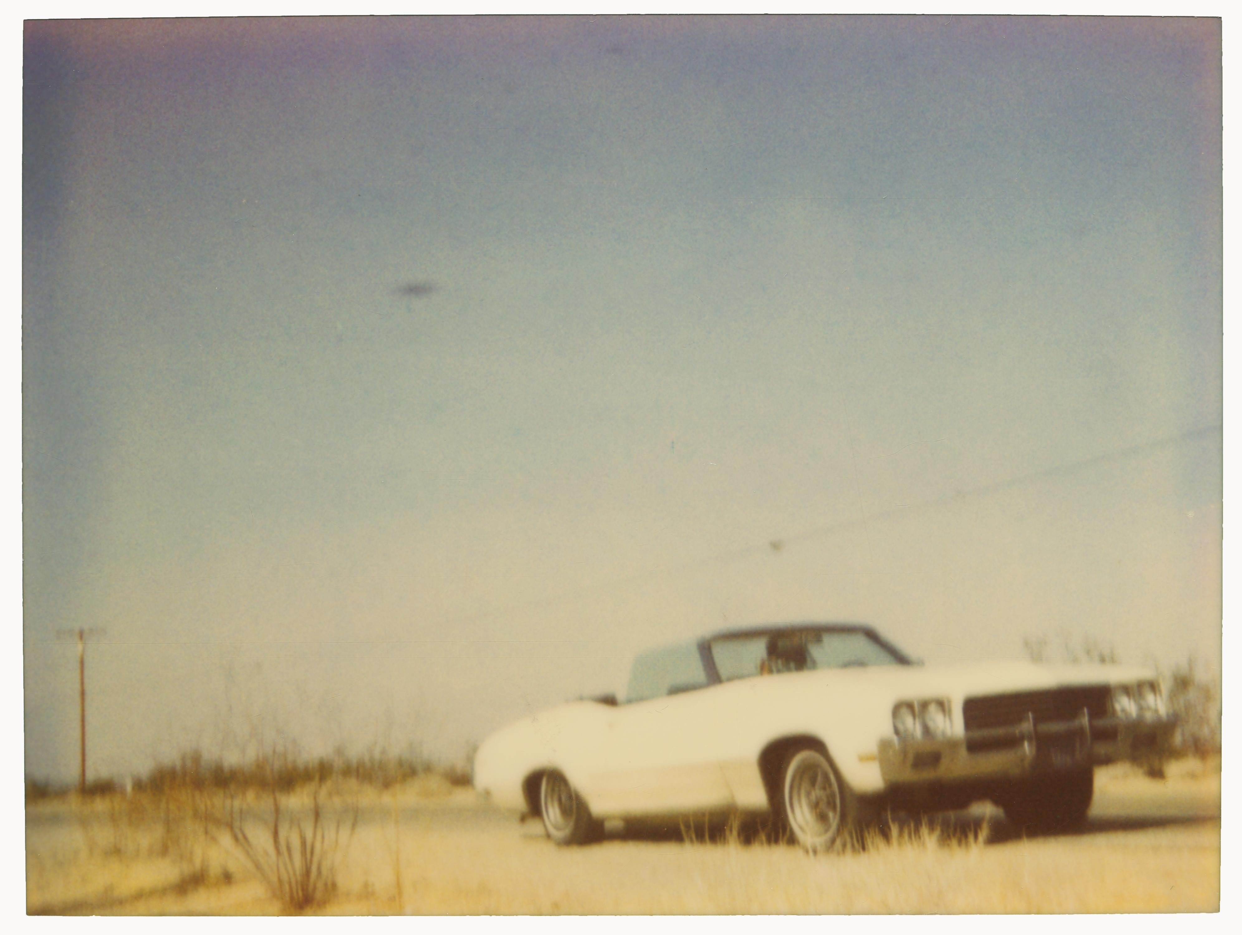 Stefanie Schneider Color Photograph – Skylark (Größer als das Paradies)
