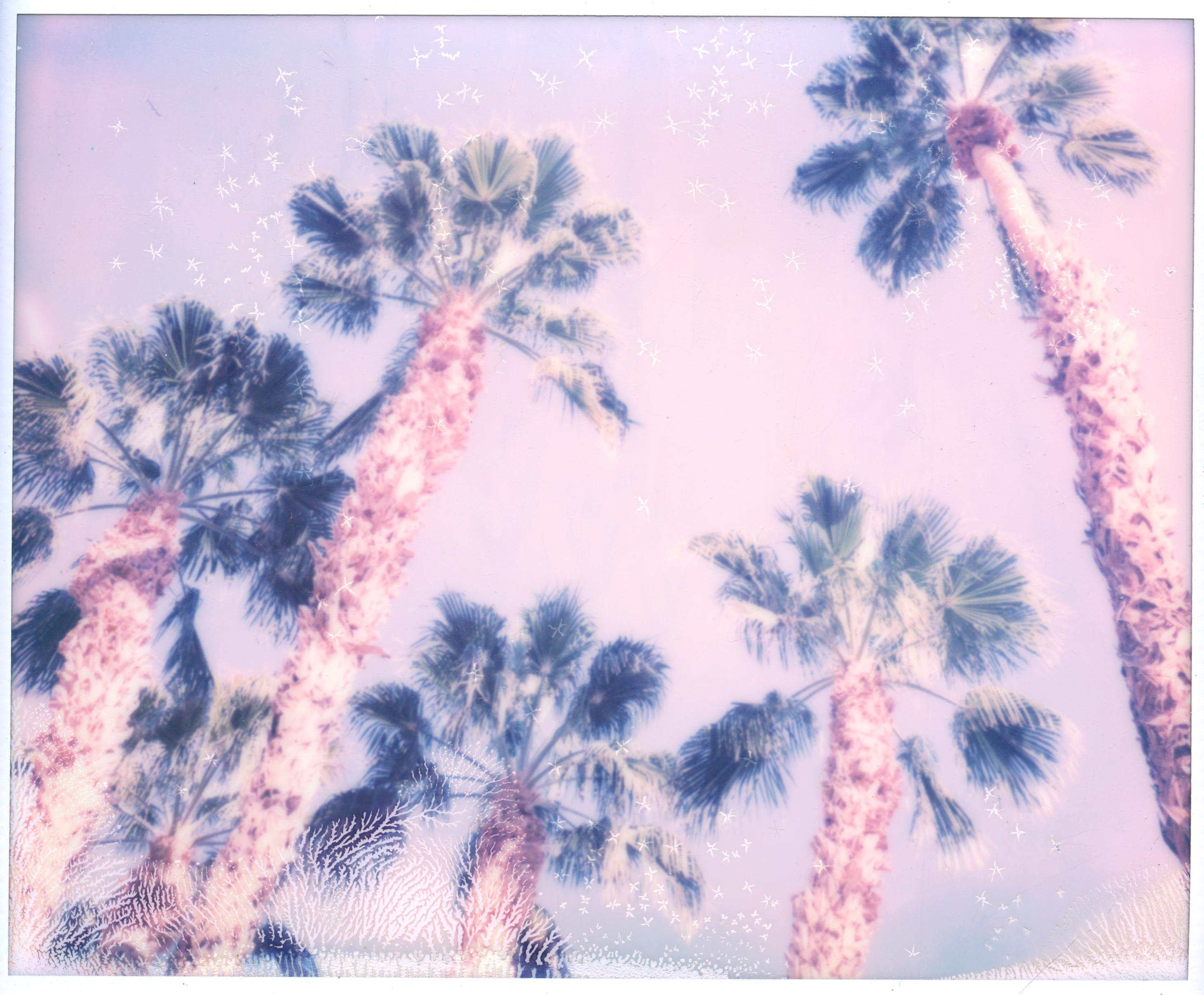Stefanie Schneider Landscape Photograph - Snow Flakes (Californication) - Polaroid, Palm Trees, vintage, contemporary