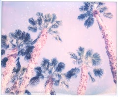 Snow Flakes (Californication) - Polaroid, Palm Trees, vintage, contemporary