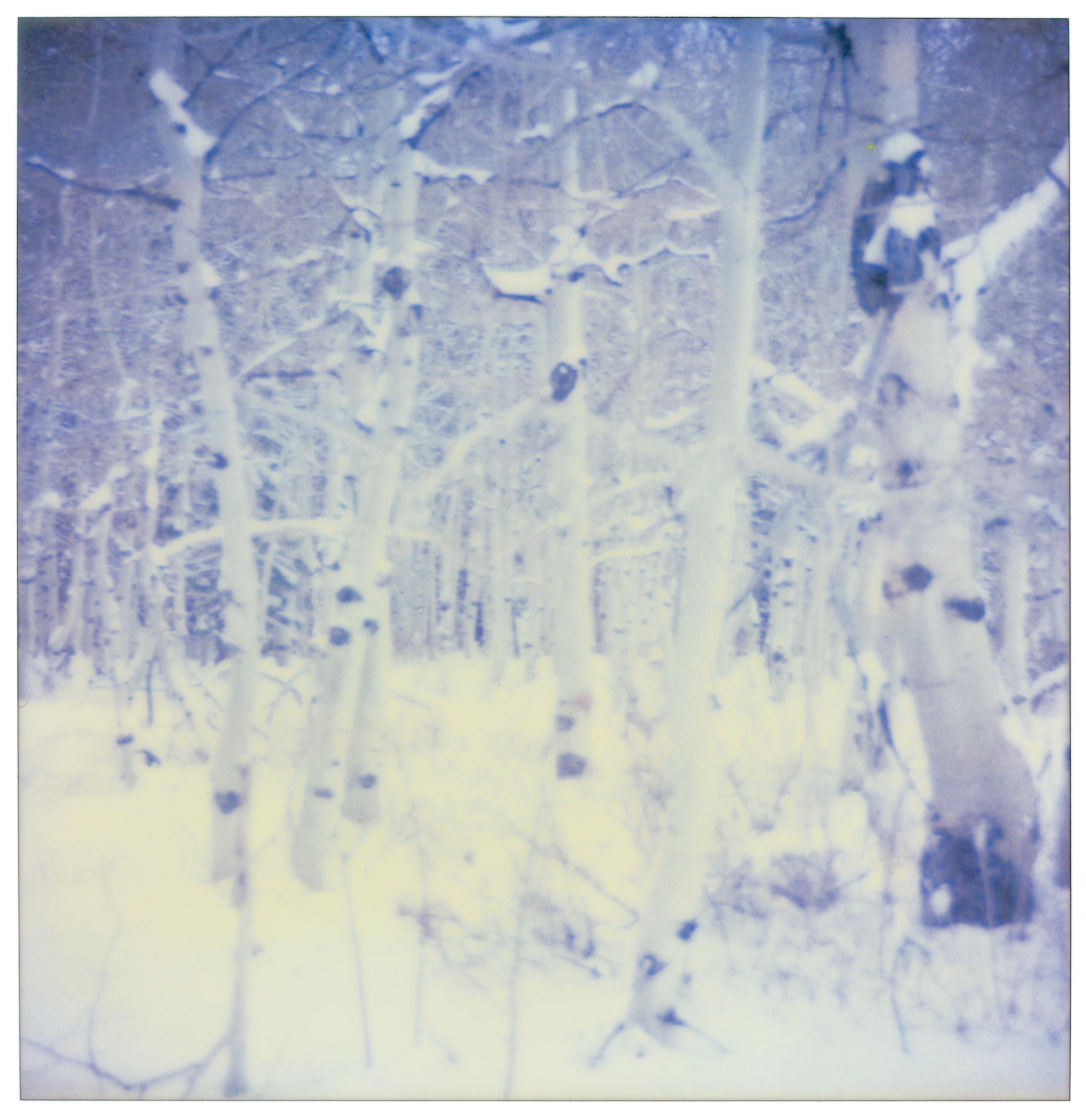Snow Silence - Contemporary, Polaroid, Figurative Photograph, expired - Gray Landscape Photograph by Stefanie Schneider