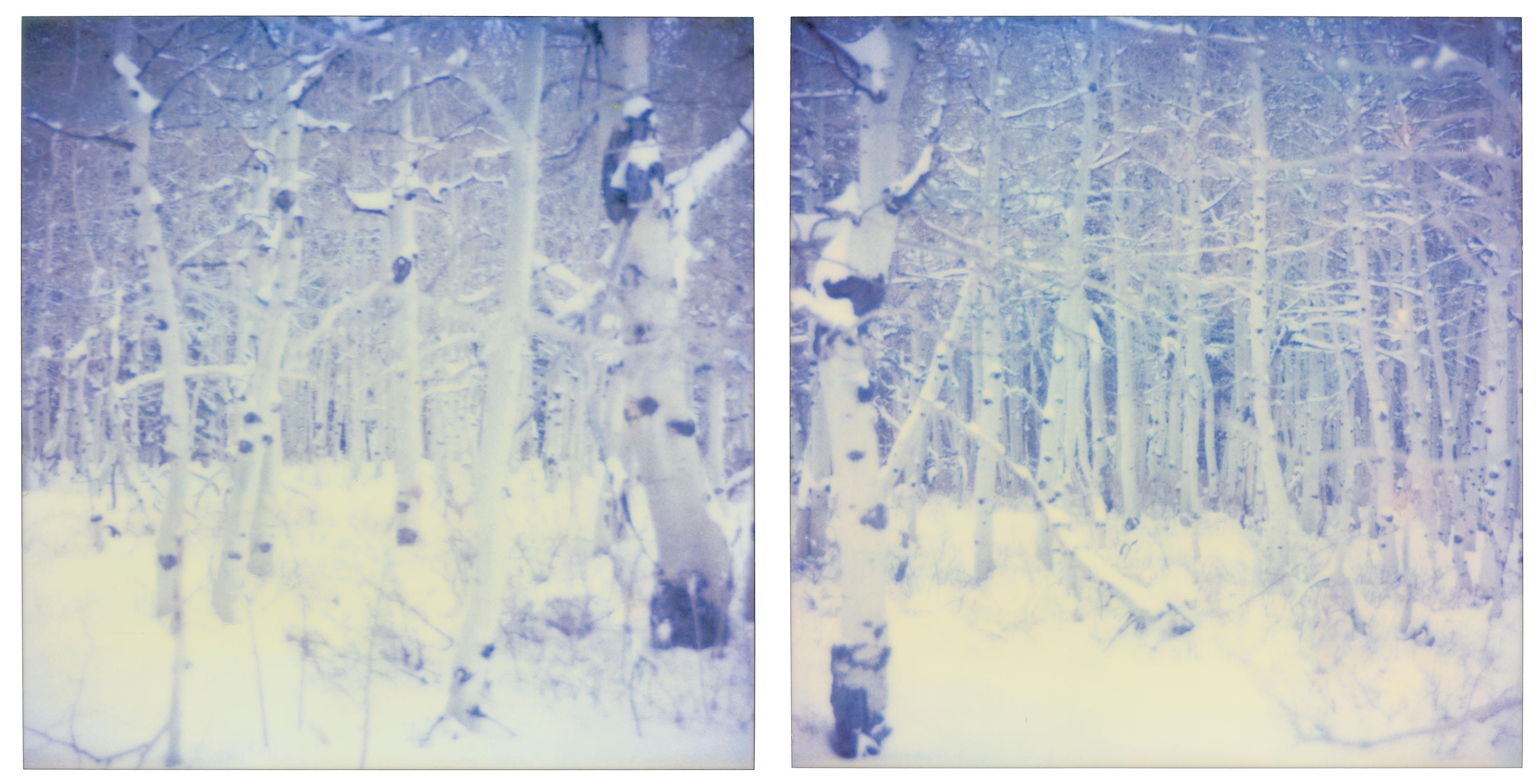 Stefanie Schneider Landscape Photograph - Snow Silence - Contemporary, Polaroid, Figurative Photograph, expired
