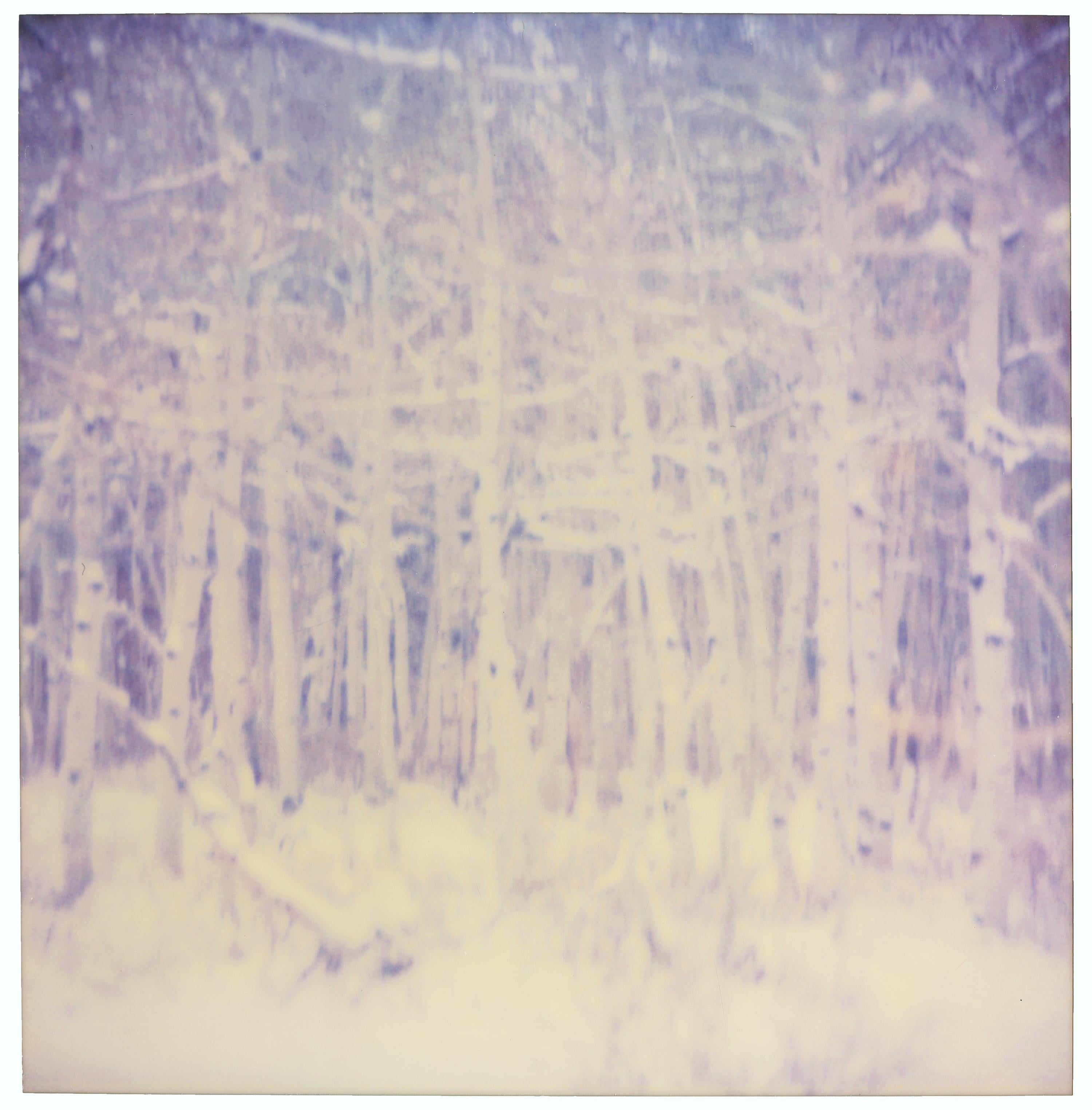 Snow Silence (Stranger than Paradise) - Contemporary, Polaroid, Analog