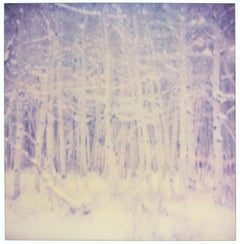 Snow Silence (Stranger than Paradise) - Contemporain, Polaroïd, Analogique