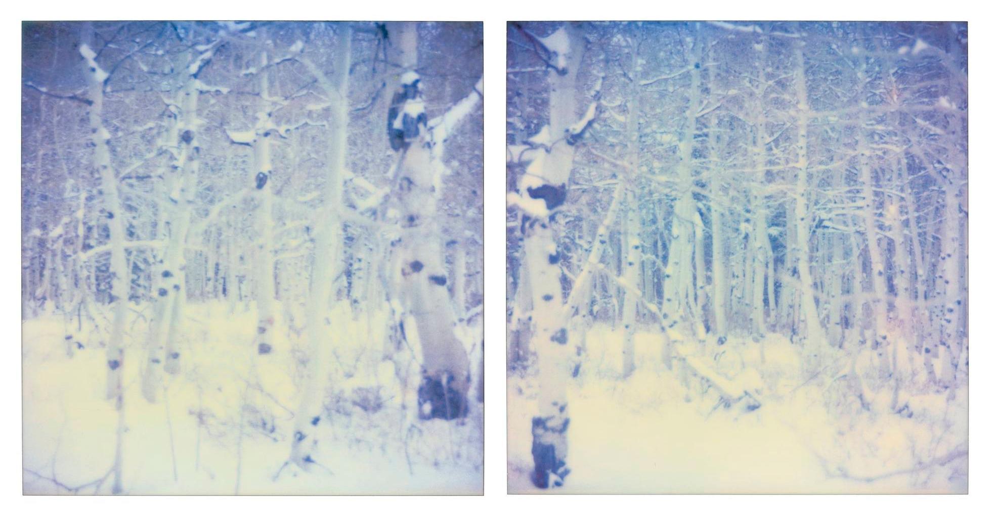 Snow Silence (Stranger than Paradise)