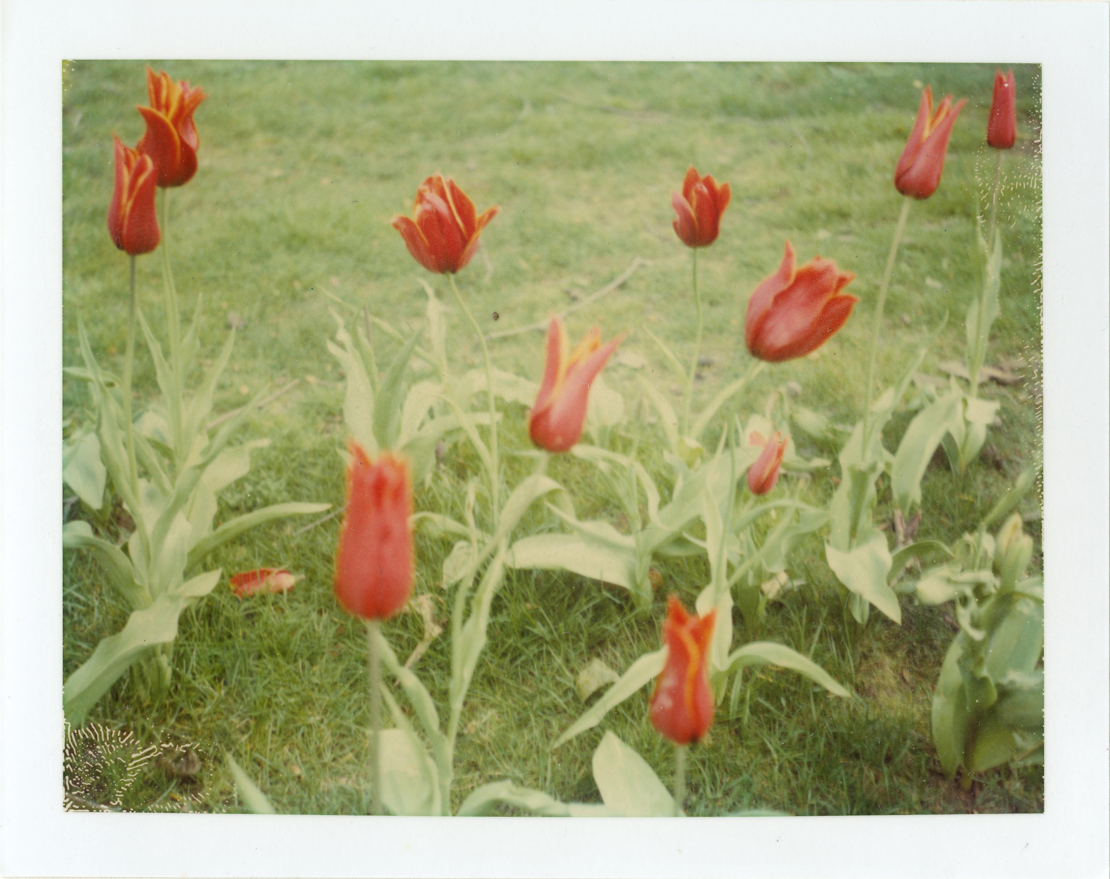 Springtime (Paris) - 4 pieces - analog, Polaroid, Contemporary - Photograph by Stefanie Schneider