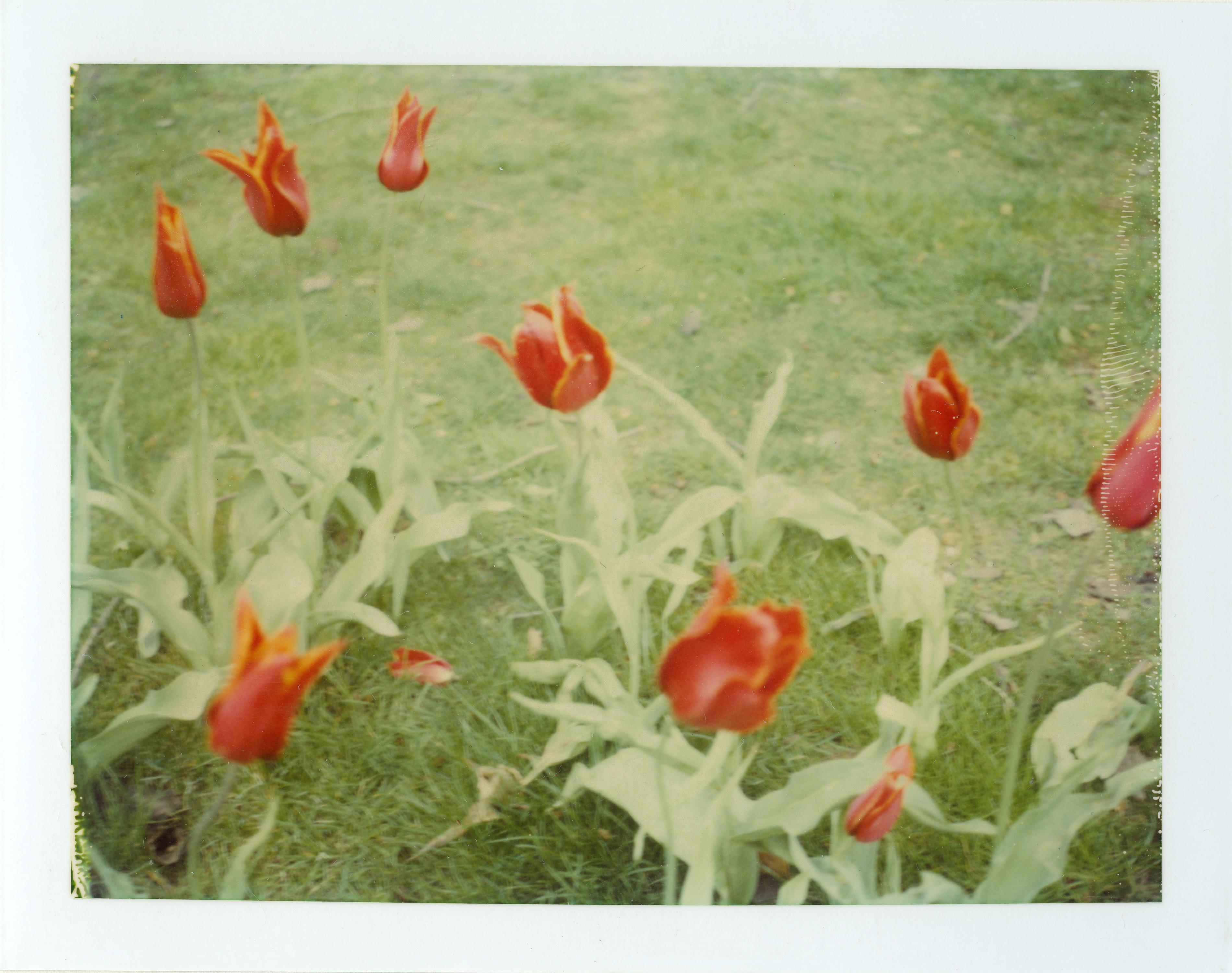Springtime (Paris) - 4 pieces - analog, Polaroid, Contemporary - Brown Color Photograph by Stefanie Schneider