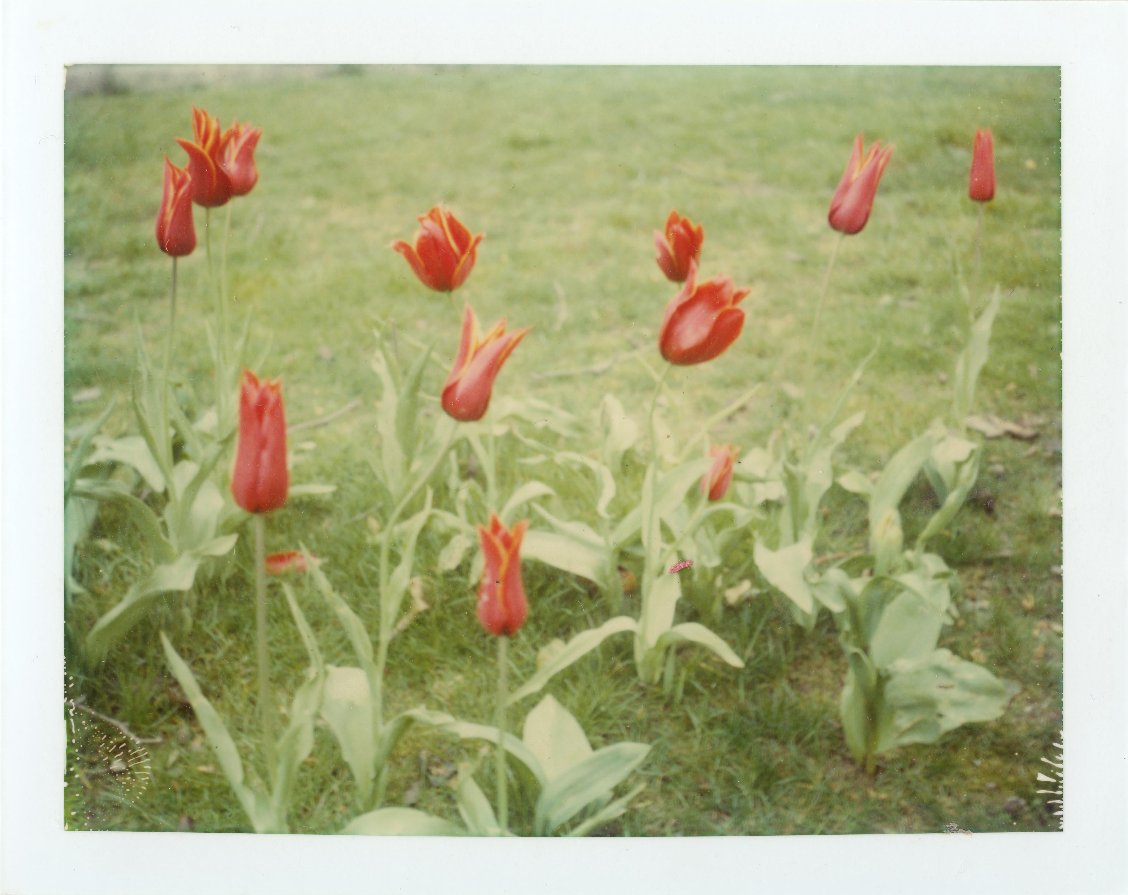 Springtime (Paris) - 1995 / quadriptych - 

4 pieces, 110x130cm installed. 
Edition of 5, each 50x60cm including white borders. 
4 analog C-Prints, hand-printed by the artist and based on the 4 Polaroids.  
Signature label and Certificate. 
Artist